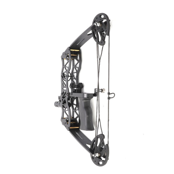 40lbs Hunting Compound Bow Arrow Archery Target Shooting With Archery Sights