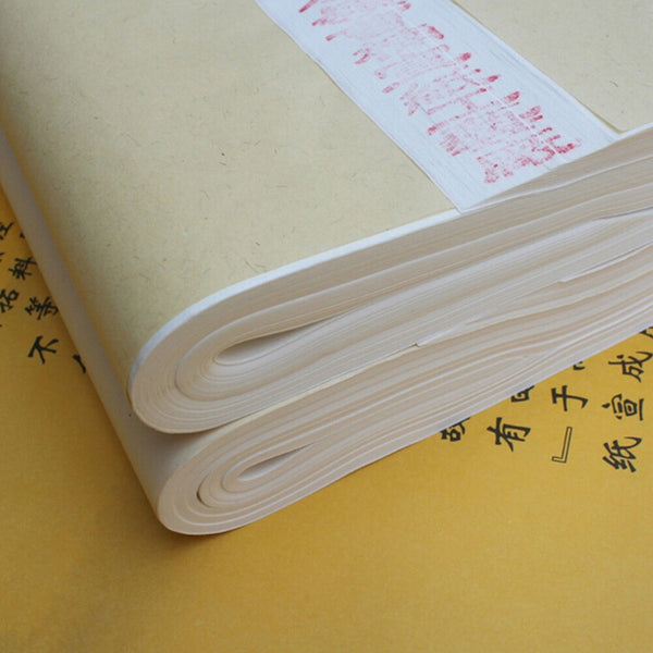 100PCS Traditional Xuan Paper Chinese Xuan Paper Rice Paper Painting Calligraphy