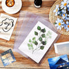 10 Pcs Comic Book Card Holder Comic Sleeves 19*28cm Hard Comic Display Case