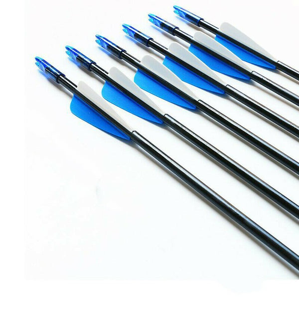 50x 31" FiberGlass Arrows Hunting Target Shooting Arrows for Teenager Upto 35LBS