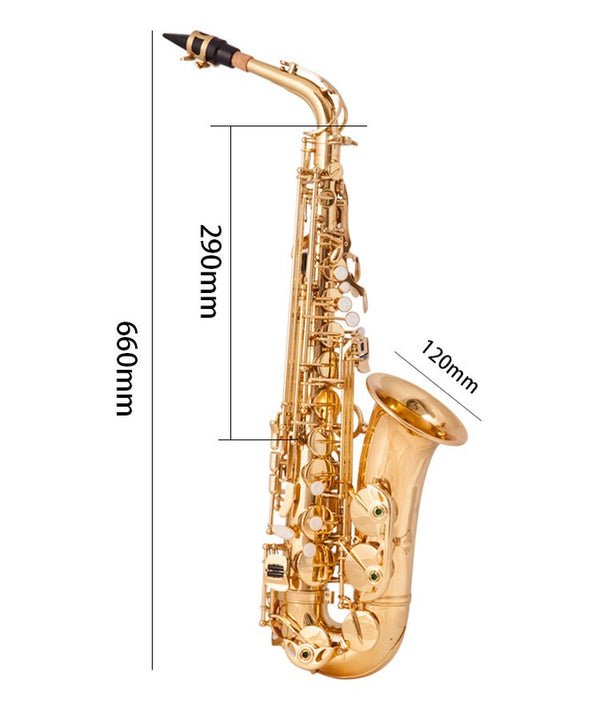 Eastar Alto Saxophone Eb E Flat Gold Lacquered Student with Case& Accessories