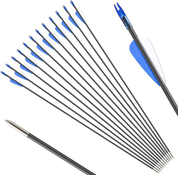 50x 31" FiberGlass Arrows Hunting Target Shooting Arrows for Teenager Upto 35LBS