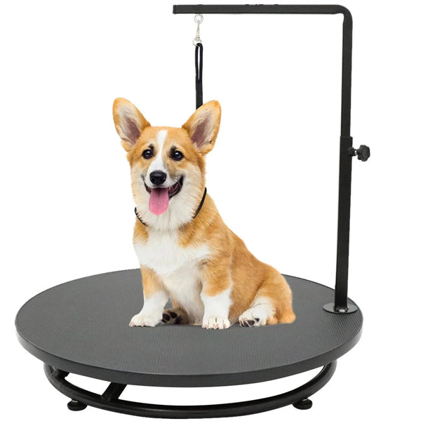 24in Pet Grooming Table with Loop 360° Rotating Grooming Station Adjustable Height - Image 4