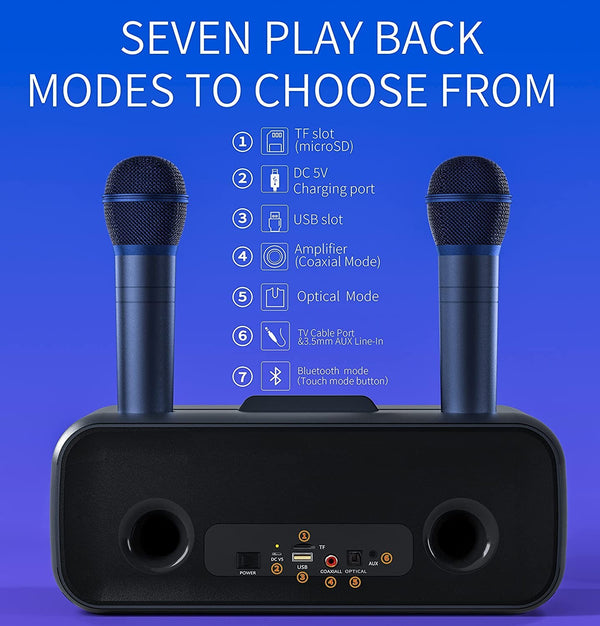 Bluetooth Karaoke Speaker & 2 Wireless Microphones Rechargeable Karaoke Machine