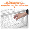 Catch Pigeon Trap One-Way Entrance Pigeon Dove Trap Cage Foldable Galvanised - Image 6