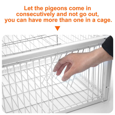 Catch Pigeon Trap One-Way Entrance Pigeon Dove Trap Cage Foldable Galvanised - Image 6