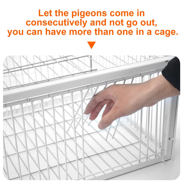 Catch Pigeon Trap One-Way Entrance Pigeon Dove Trap Cage Foldable Galvanised - Image 6
