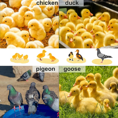 24"x16" Chicken Coop Heater Chick Brooder Heating Plate Duck Poultry Warmer - Image 13