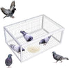 Catch Pigeon Trap One-Way Entrance Pigeon Dove Trap Cage Foldable Galvanised - Image 11