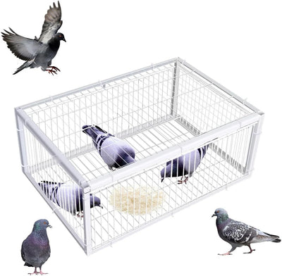 Catch Pigeon Trap One-Way Entrance Pigeon Dove Trap Cage Foldable Galvanised - Image 11