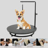 24in Pet Grooming Table with Loop 360° Rotating Grooming Station Adjustable Height - Image 1