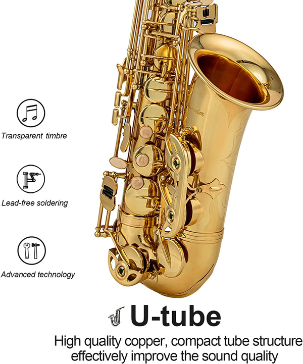 Eb Alto Saxophone Brass Lacquered Gold E-Flat Sax with Case & Accessories