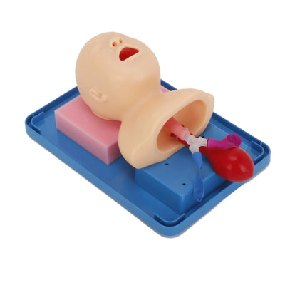 Intubation Manikin Lab Airway Management Training Infant Tracheal Manikin with Tube - Image 10