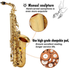 Eastar Alto Saxophone Eb E Flat Gold Lacquered Student with Case& Accessories
