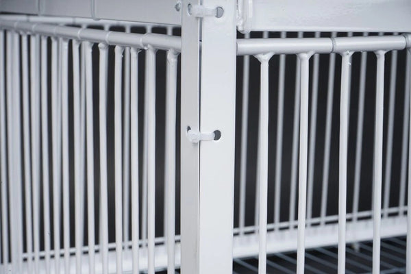 Catch Pigeon Trap One-Way Entrance Pigeon Dove Trap Cage Foldable Galvanised - Image 5
