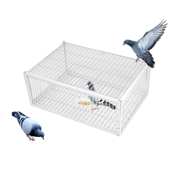 Catch Pigeon Trap One-Way Entrance Pigeon Dove Trap Cage Foldable Galvanised - Image 1