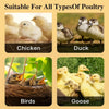 24"x16" Chicken Coop Heater Chick Brooder Heating Plate Duck Poultry Warmer - Image 4