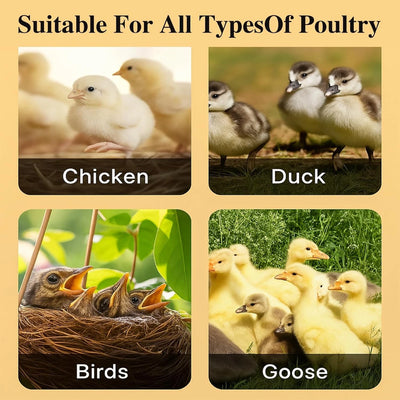 24"x16" Chicken Coop Heater Chick Brooder Heating Plate Duck Poultry Warmer - Image 4