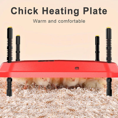 24"x16" Chicken Coop Heater Chick Brooder Heating Plate Duck Poultry Warmer - Image 1