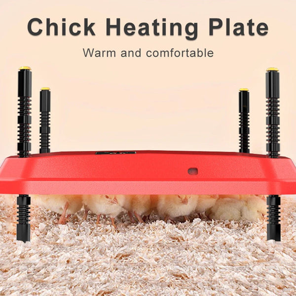 24"x16" Chicken Coop Heater Chick Brooder Heating Plate Duck Poultry Warmer - Image 1