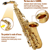 Eastar Alto Saxophone Eb E Flat Gold Lacquered Student with Case& Accessories
