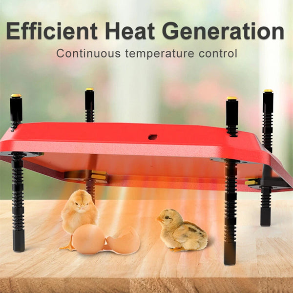 24"x16" Chicken Coop Heater Chick Brooder Heating Plate Duck Poultry Warmer - Image 11