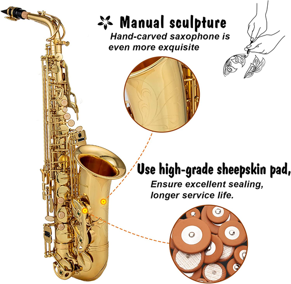 Eb Alto Saxophone Brass Lacquered Gold E-Flat Sax with Case & Accessories